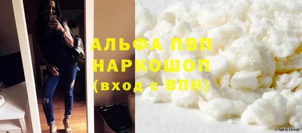 PSILOCYBIN Волосово