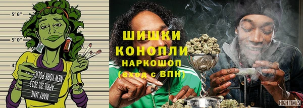 PSILOCYBIN Волосово