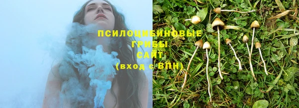 PSILOCYBIN Волосово