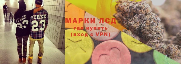PSILOCYBIN Волосово