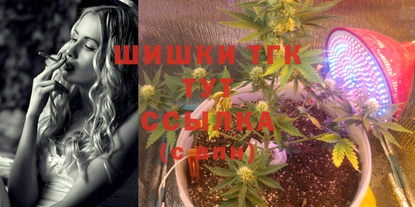 PSILOCYBIN Волосово