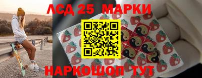 гидропоника Будённовск