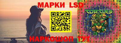гидропоника Будённовск