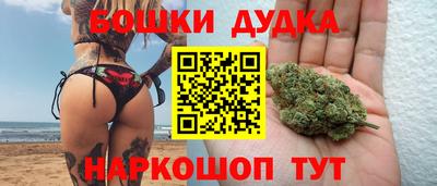 гидропоника Будённовск