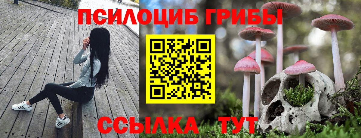 Псилоцибиновые грибы Cubensis  купить наркотики сайты  Железногорск  Вход с VPN 