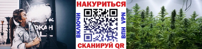 где купить наркоту  hydra ТОР  Каннабис гибрид  Железногорск 